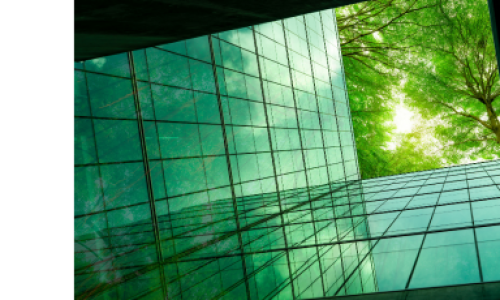 FORWARD Accelerator Programme for Entrepreneurs and High-Growth Startups across the World